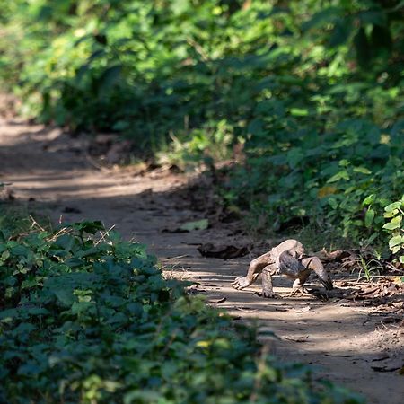 Sanctuary Chitwan National Park Bagian luar foto