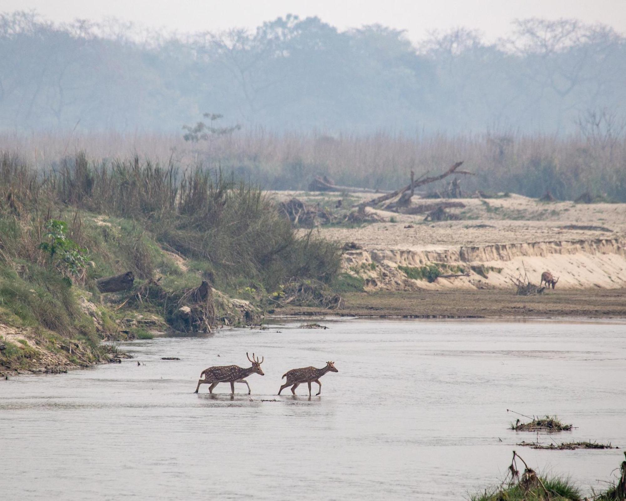 Sanctuary Chitwan National Park Bagian luar foto